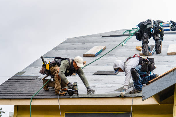 Professional Roofing technician working in Linden, TX